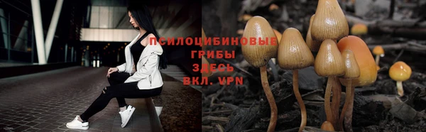 прущий лед Белокуриха