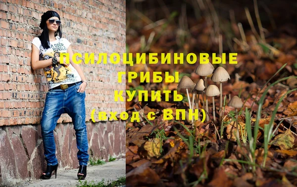 стафф Россошь