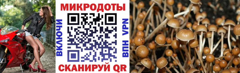 Псилоцибиновые грибы мицелий  купить наркотик  Мыски 